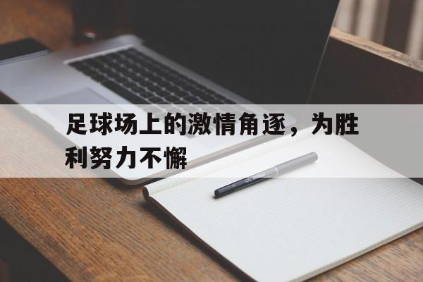 足球场上激动人心的时刻 足球场上激动人心的时刻