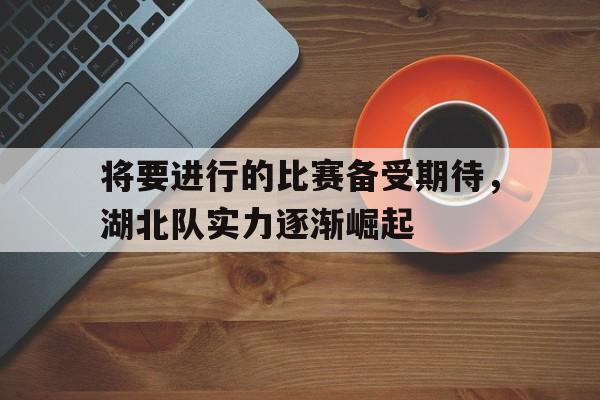 娱乐新体验-包含将要进行的比赛备受期待，湖北队实力逐渐崛起的词条